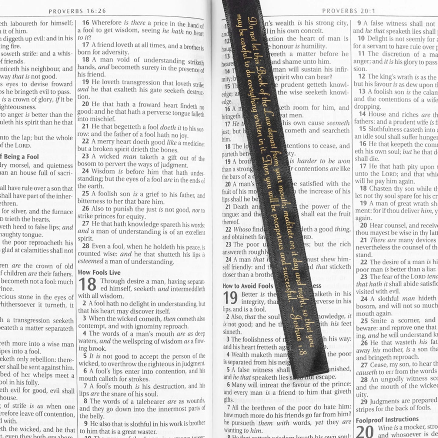 Bible Cover-X Large-Red-Everlasting Love-2018 Divine Details